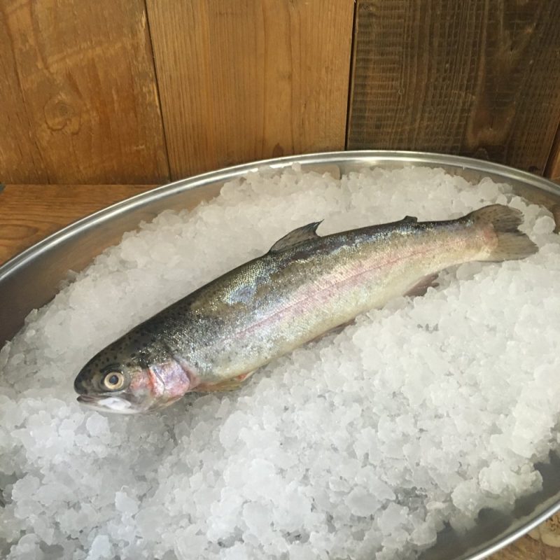 Whole gutted Hampshire trout (approx 400g)