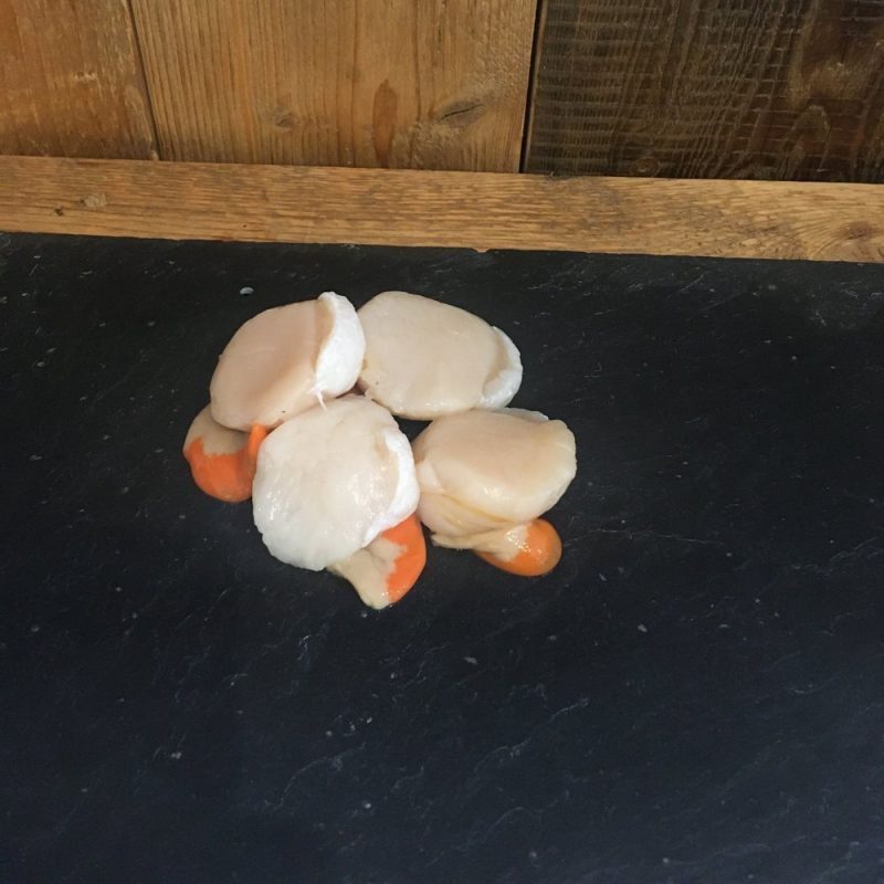 King scallops