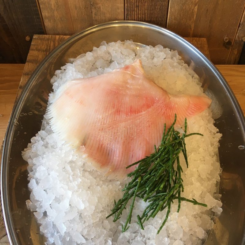 Skate Wing Approx 300g