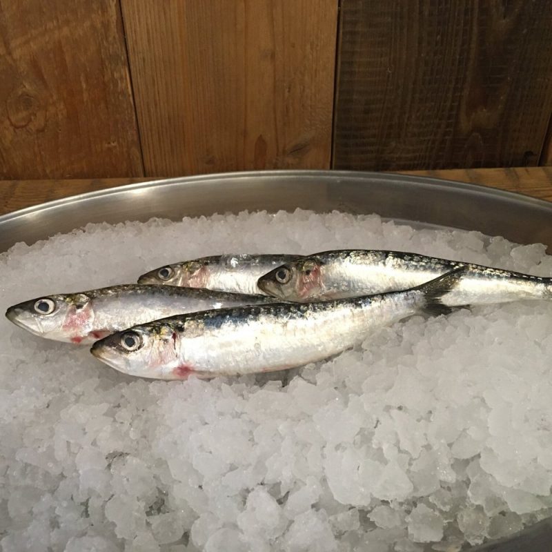 Frozen Cornish Sardines